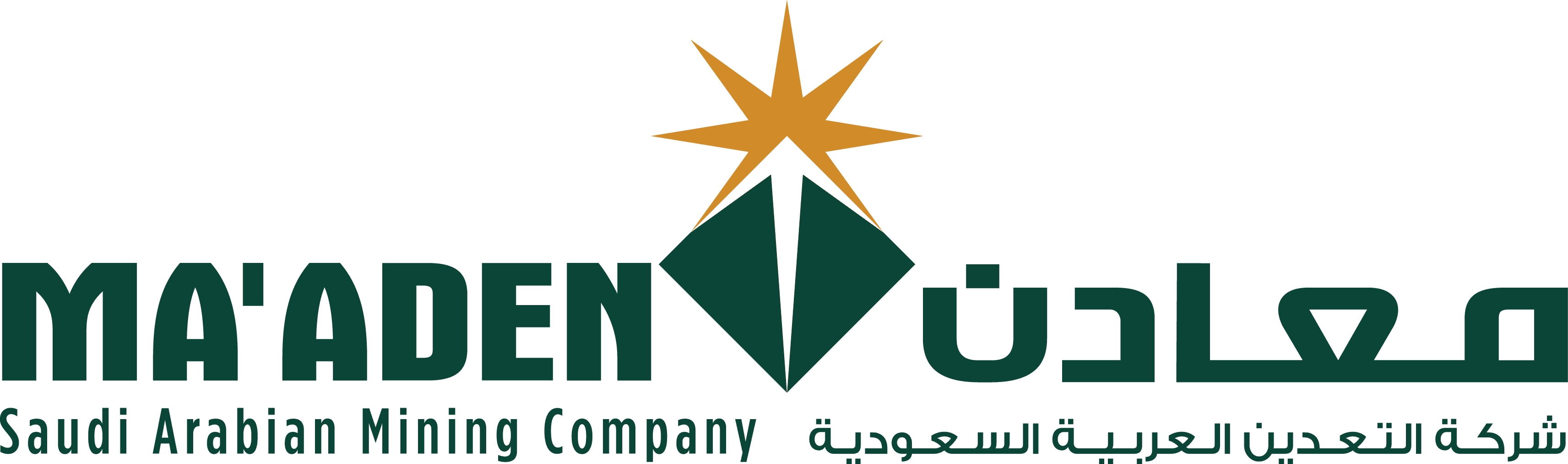 الصفحة الرئيسية